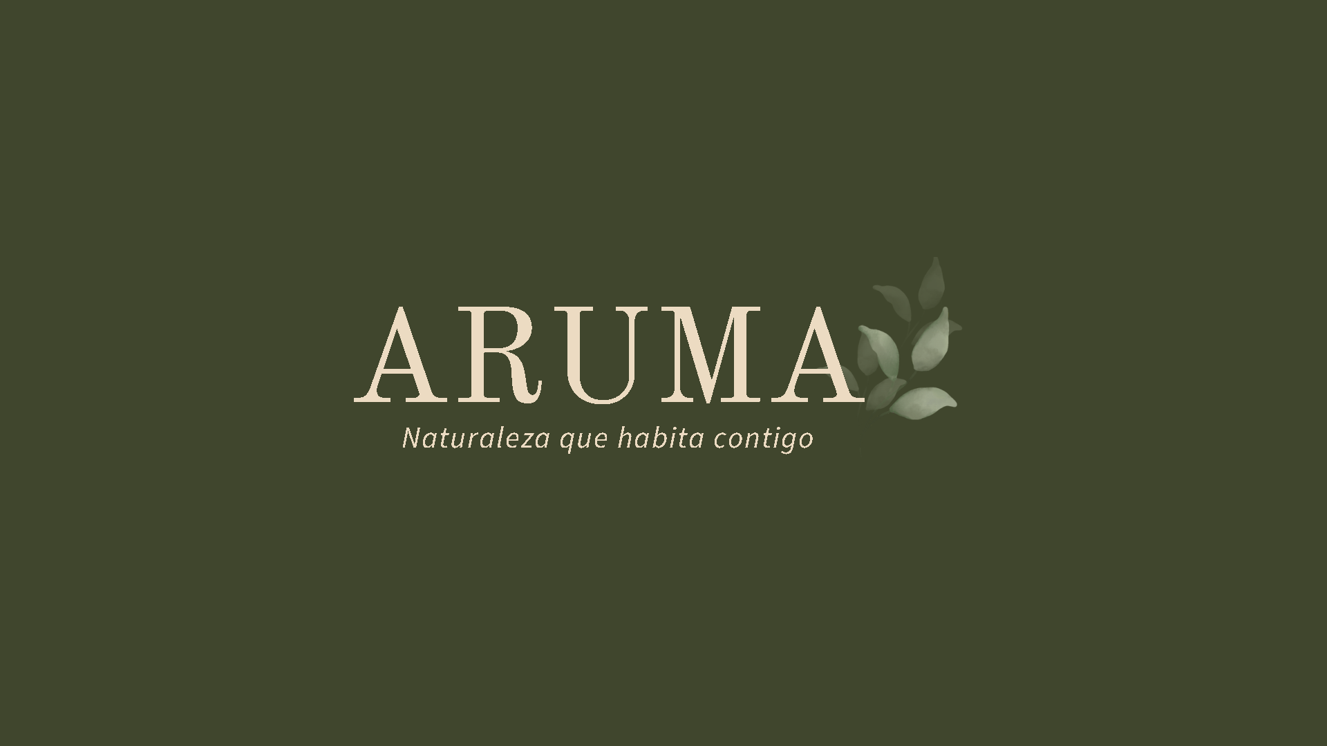Brochure Oficial Aruma_Page1